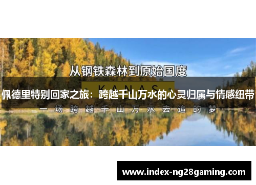 佩德里特别回家之旅:跨越千山万水的心灵归属与情感纽带 佩德里特别回家之旅:跨越千山万水的心灵归属与情感纽带