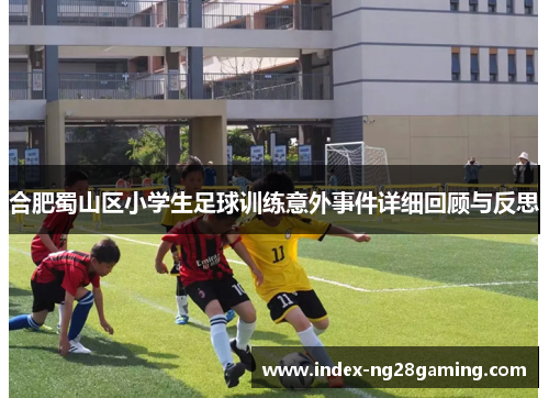 合肥蜀山区小学生足球训练意外事件详细回顾与反思 合肥蜀山区小学生足球训练意外事件详细回顾与反思