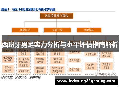西班牙男足实力分析与水平评估指南解析