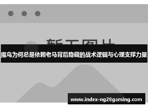 魔鸟为何总是依赖老马背后隐藏的战术逻辑与心理支撑力量