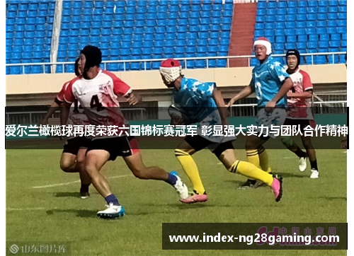 爱尔兰橄榄球再度荣获六国锦标赛冠军 彰显强大实力与团队合作精神